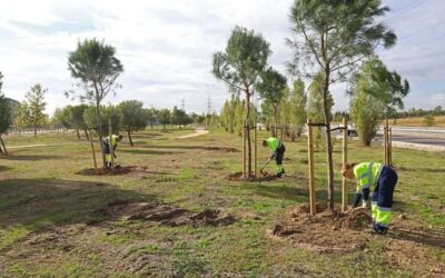 Reforestación en Leganés